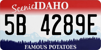 ID license plate 5B4289E