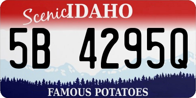 ID license plate 5B4295Q