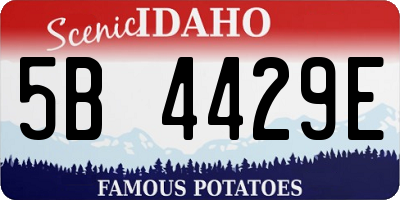 ID license plate 5B4429E