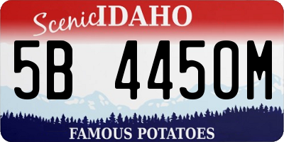 ID license plate 5B4450M