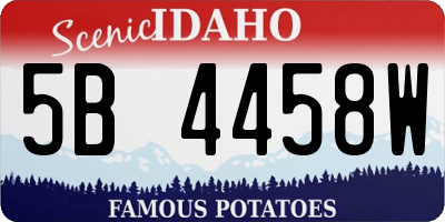 ID license plate 5B4458W