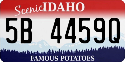 ID license plate 5B4459Q