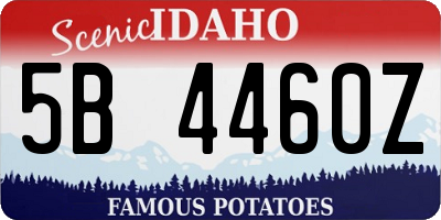 ID license plate 5B4460Z