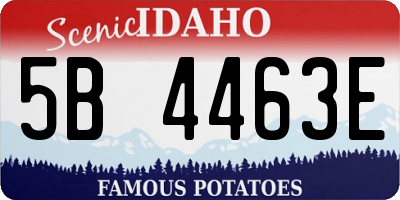 ID license plate 5B4463E