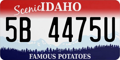 ID license plate 5B4475U