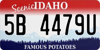 ID license plate 5B4479U