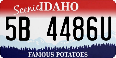 ID license plate 5B4486U