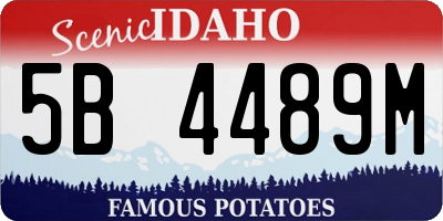 ID license plate 5B4489M