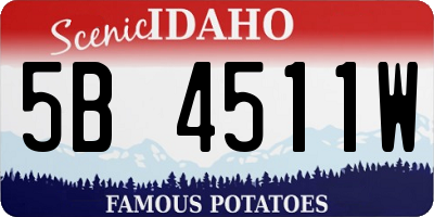 ID license plate 5B4511W