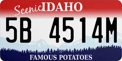 ID license plate 5B4514M