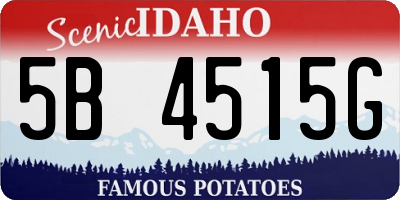 ID license plate 5B4515G