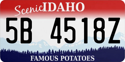 ID license plate 5B4518Z