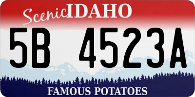 ID license plate 5B4523A