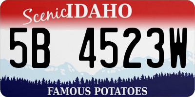 ID license plate 5B4523W