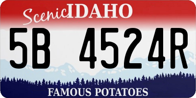 ID license plate 5B4524R