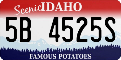 ID license plate 5B4525S
