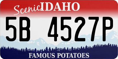 ID license plate 5B4527P