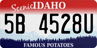 ID license plate 5B4528U