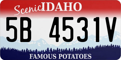 ID license plate 5B4531V