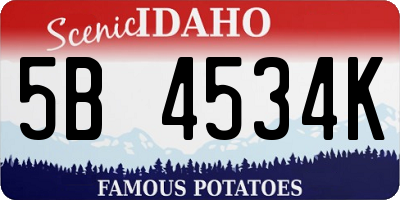 ID license plate 5B4534K