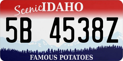 ID license plate 5B4538Z
