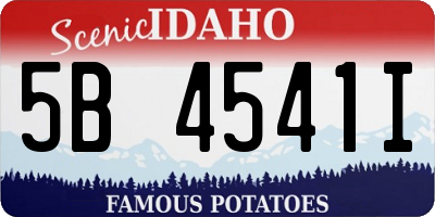 ID license plate 5B4541I