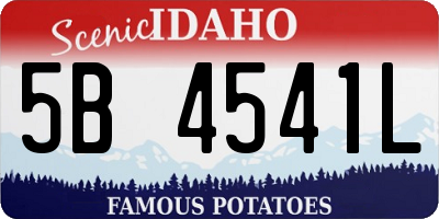 ID license plate 5B4541L