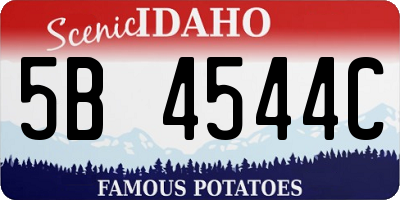 ID license plate 5B4544C