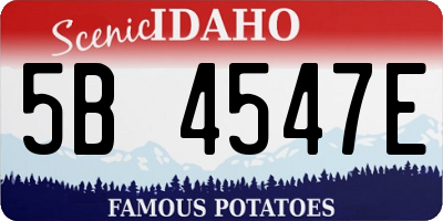 ID license plate 5B4547E
