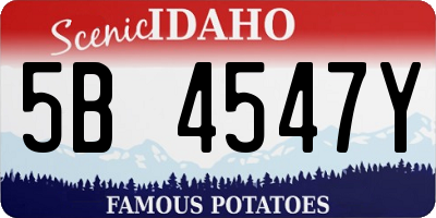 ID license plate 5B4547Y
