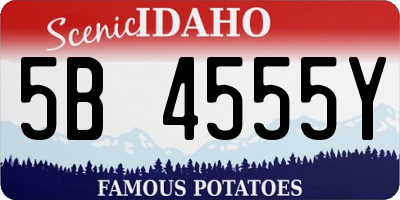 ID license plate 5B4555Y