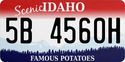 ID license plate 5B4560H