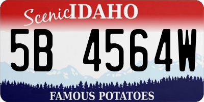 ID license plate 5B4564W