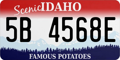 ID license plate 5B4568E
