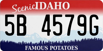 ID license plate 5B4579G