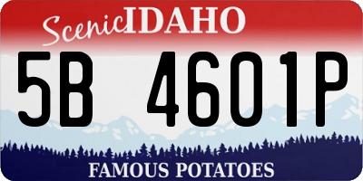ID license plate 5B4601P