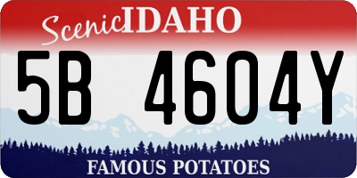 ID license plate 5B4604Y