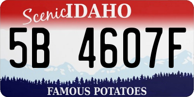 ID license plate 5B4607F