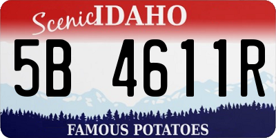 ID license plate 5B4611R