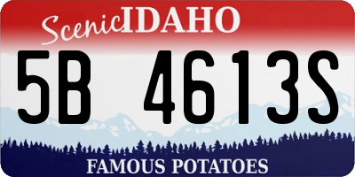 ID license plate 5B4613S