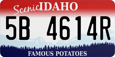 ID license plate 5B4614R