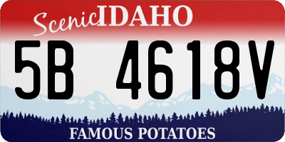 ID license plate 5B4618V