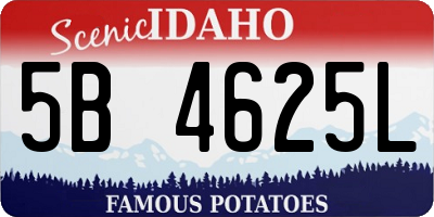 ID license plate 5B4625L