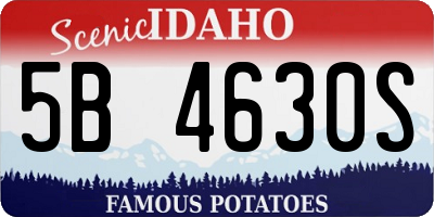 ID license plate 5B4630S