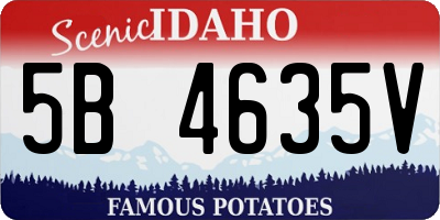 ID license plate 5B4635V
