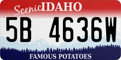 ID license plate 5B4636W