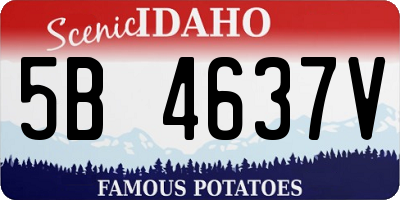 ID license plate 5B4637V