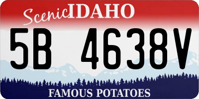 ID license plate 5B4638V
