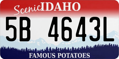 ID license plate 5B4643L