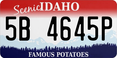ID license plate 5B4645P